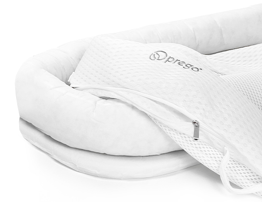 Detachable-Prego-Coco-Babu-Nest-Landing-Page