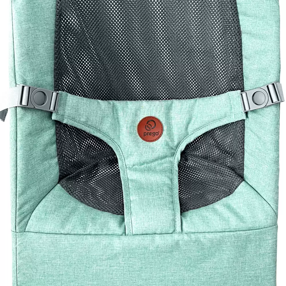 PR05-Sierra-Smart-Sensor-Baby-Swing-New-Harness