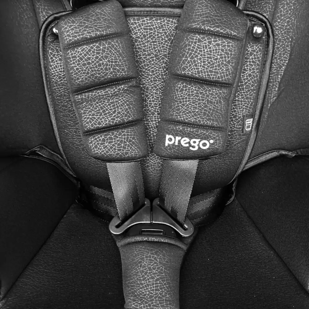 Prego_PR207_I-Zedd